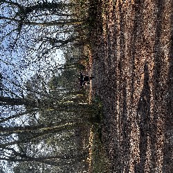 IMG_1930.JPG