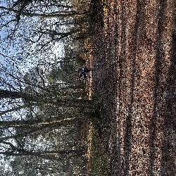 IMG_1933.JPG