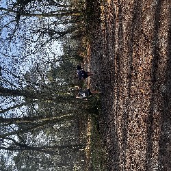 IMG_1934.JPG