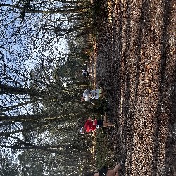 IMG_1937.JPG