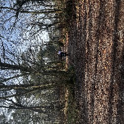 IMG_1938.JPG