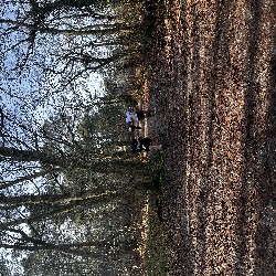 IMG_1939.JPG