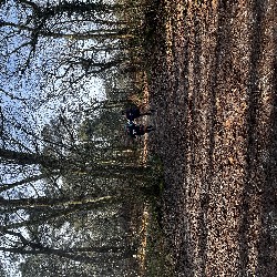 IMG_1940.JPG