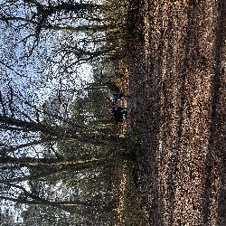 IMG_1941.JPG