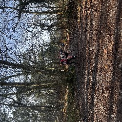 IMG_1942.JPG