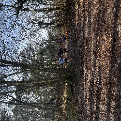 IMG_1944.JPG