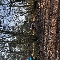 IMG_1947.JPG