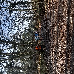 IMG_1949.JPG