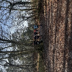IMG_1951.JPG