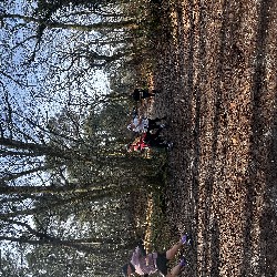 IMG_1953.JPG