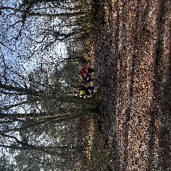 IMG_1955.JPG