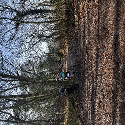 IMG_1957.JPG