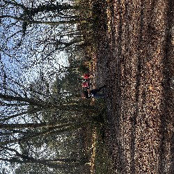 IMG_1958.JPG