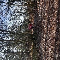 IMG_1959.JPG
