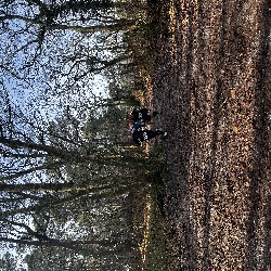 IMG_1961.JPG