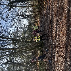 IMG_1963.JPG