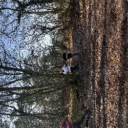 IMG_1964.JPG