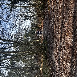 IMG_1965.JPG