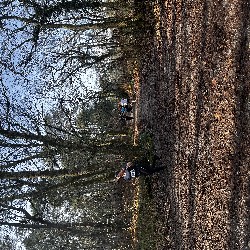IMG_1966.JPG