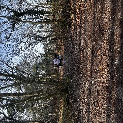 IMG_1967.JPG