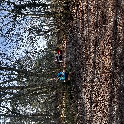 IMG_1970.JPG