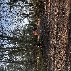 IMG_1974.JPG