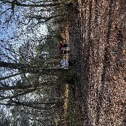 IMG_1985.JPG