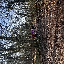 IMG_1986.JPG