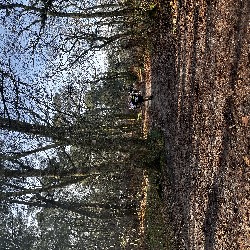 IMG_1990.JPG