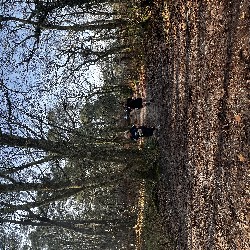 IMG_2001.JPG