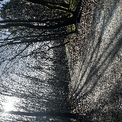 IMG_2012.JPG