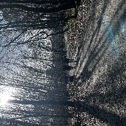 IMG_2015.JPG