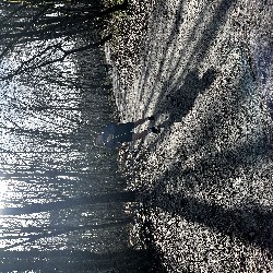 IMG_2016.JPG