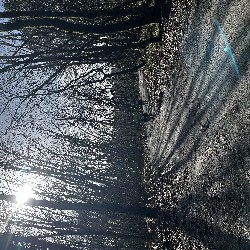 IMG_2017.JPG