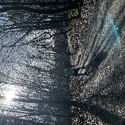 IMG_2018.JPG
