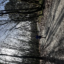 IMG_2020.JPG