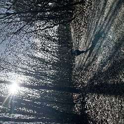 IMG_2035.JPG