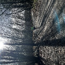 IMG_2037.JPG