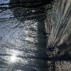 IMG_2047.JPG
