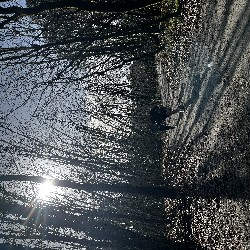 IMG_2048.JPG