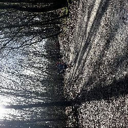 IMG_2086.JPG