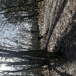 IMG_2112.JPG