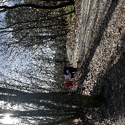 IMG_2117.JPG