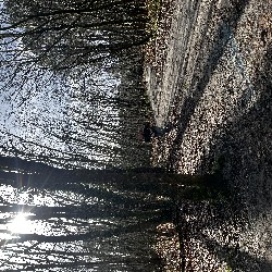IMG_2118.JPG