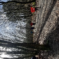 IMG_2122.JPG