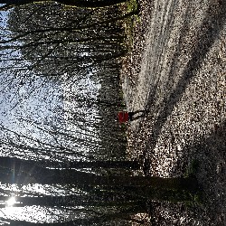IMG_2150.JPG