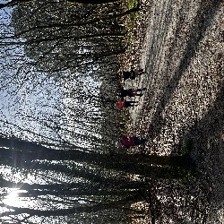 IMG_2155.JPG