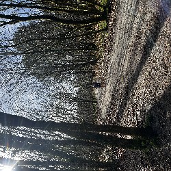 IMG_2167.JPG