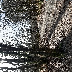 IMG_2168.JPG