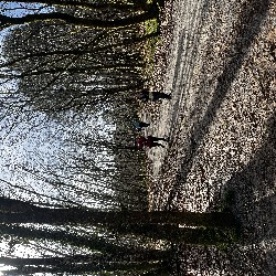 IMG_2172.JPG